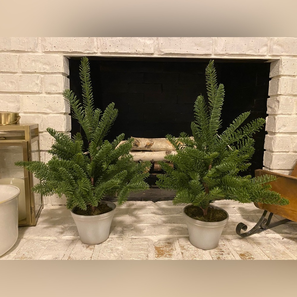 NWT Set of 2 22" Potted Spruce Artificial Tree - Hearth & Hand™ Magnolia